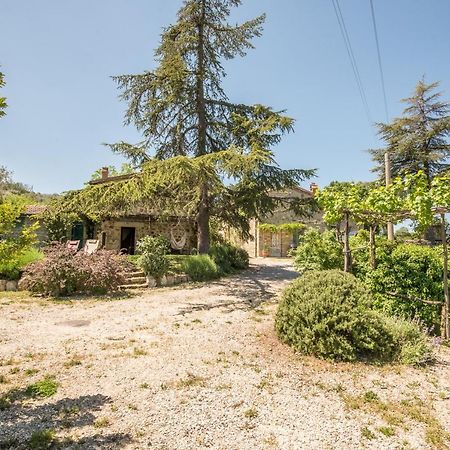 Appartamento Gemma Verde-Tavoleto Кастільйоне-д'Орчія Екстер'єр фото